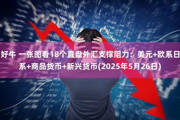 好牛 一张图看18个直盘外汇支撑阻力：美元+欧系日系+商品货币+新兴货币(2025年5月26日)