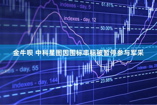 金牛呗 中科星图因围标串标被暂停参与军采