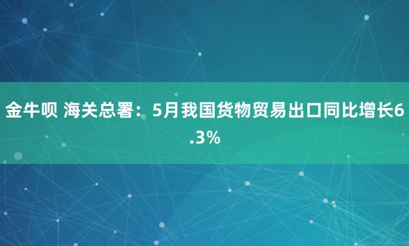 金牛呗 海关总署：5月我国货物贸易出口同比增长6.3%
