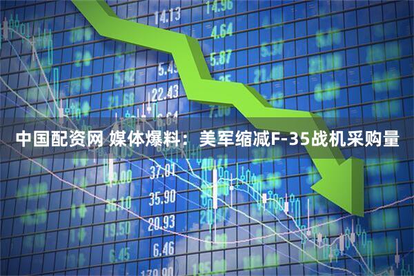 中国配资网 媒体爆料：美军缩减F-35战机采购量
